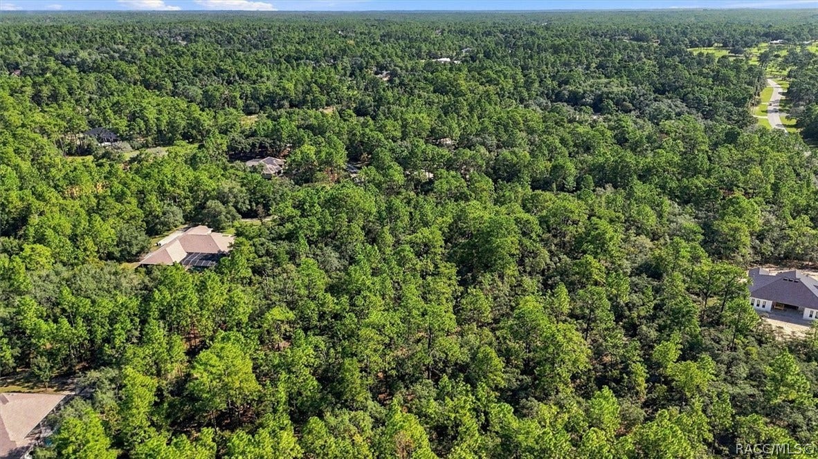 6096 W Ponderosa Place, Beverly Hills, FL 34465