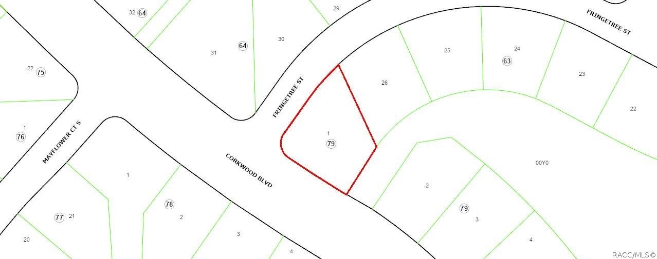1 Fringetree Street, Homosassa, FL 34446 ANOTHER VIEW OF VACANT LAND LOCATION