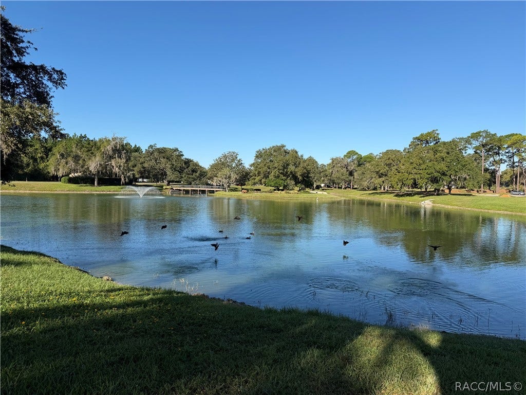 6282 W Lexington Drive, Crystal River, FL 34429 6282 W Lexington Drive, Crystal River, FL 34429