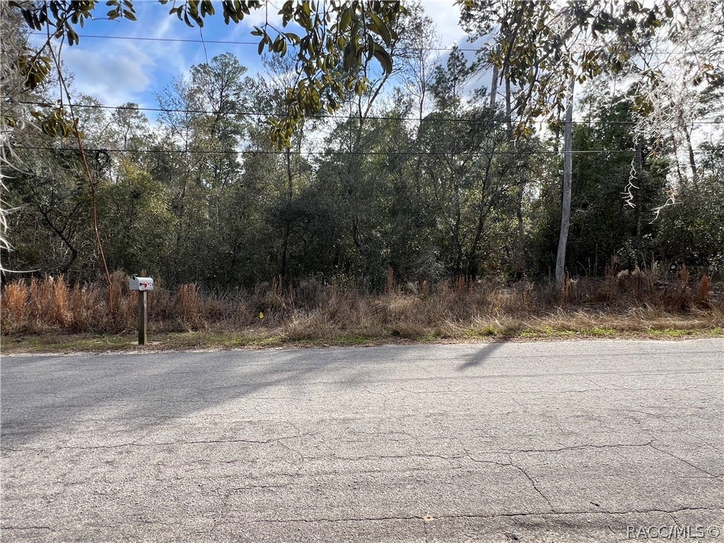3005 Clearwood Street, Inverness, FL 34452 3005 Clearwood Street, Inverness, FL 34452