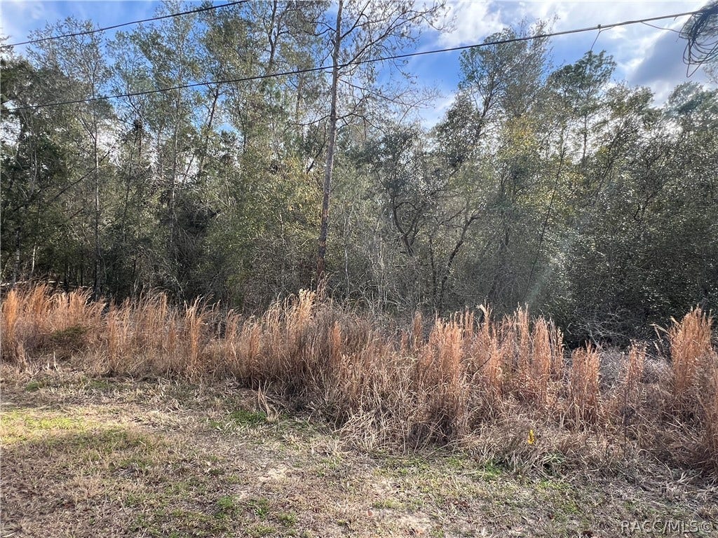 3005 Clearwood Street, Inverness, FL 34452 3005 Clearwood Street, Inverness, FL 34452