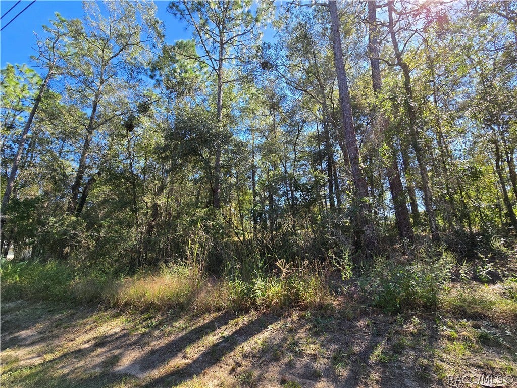 5210 E Anna Jo Drive, Inverness, FL 34452 5210 E Anna Jo Drive, Inverness, FL 34452