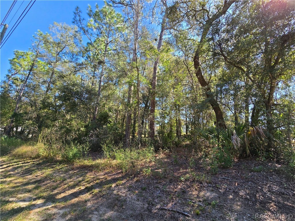 5210 E Anna Jo Drive, Inverness, FL 34452 5210 E Anna Jo Drive, Inverness, FL 34452