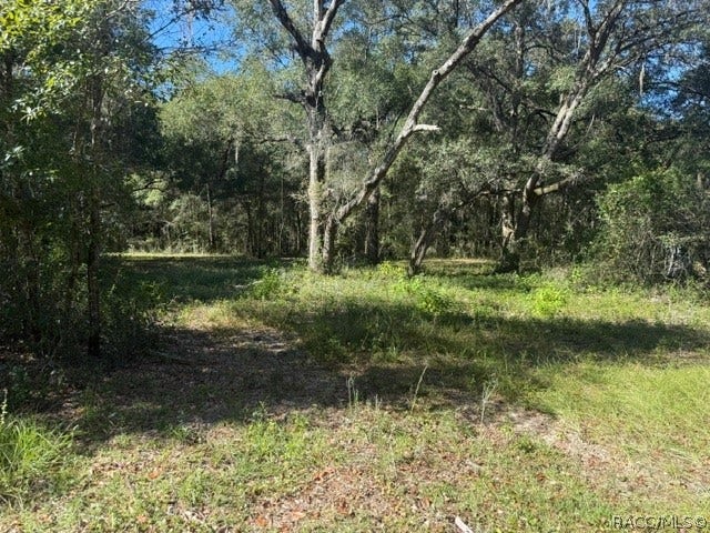 5551 SW 194th Avenue, Dunnellon, FL 34432 5551 SW 194th Avenue, Dunnellon, FL 34432