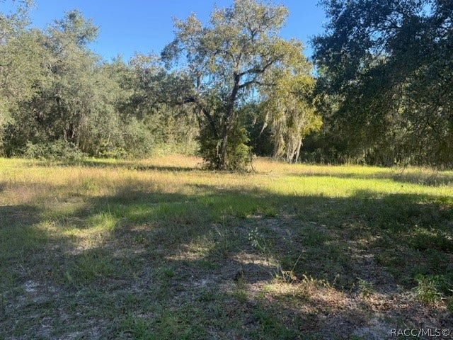 5551 SW 194th Avenue, Dunnellon, FL 34432 5551 SW 194th Avenue, Dunnellon, FL 34432
