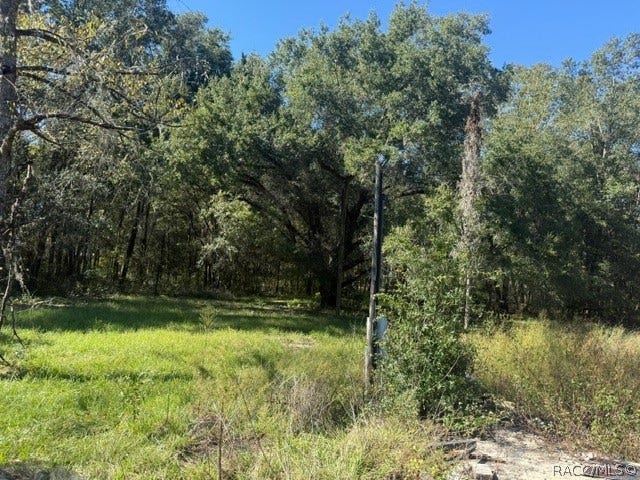 5551 SW 194th Avenue, Dunnellon, FL 34432 5551 SW 194th Avenue, Dunnellon, FL 34432