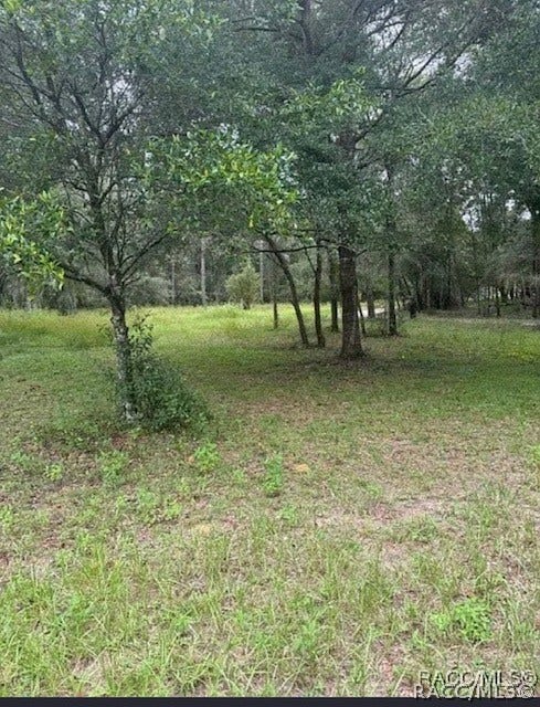 5551 SW 194th Avenue, Dunnellon, FL 34432 5551 SW 194th Avenue, Dunnellon, FL 34432