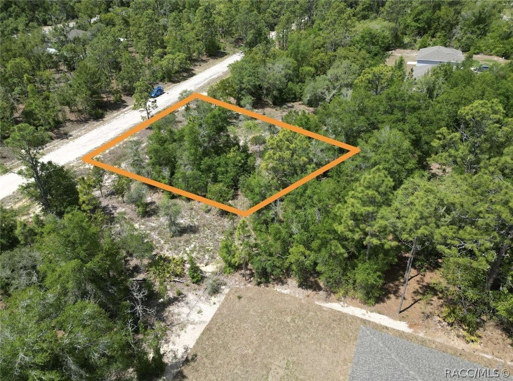 1547 W Pendleton Street, Citrus Springs, FL 34434 1547 W Pendleton Street, Citrus Springs, FL 34434