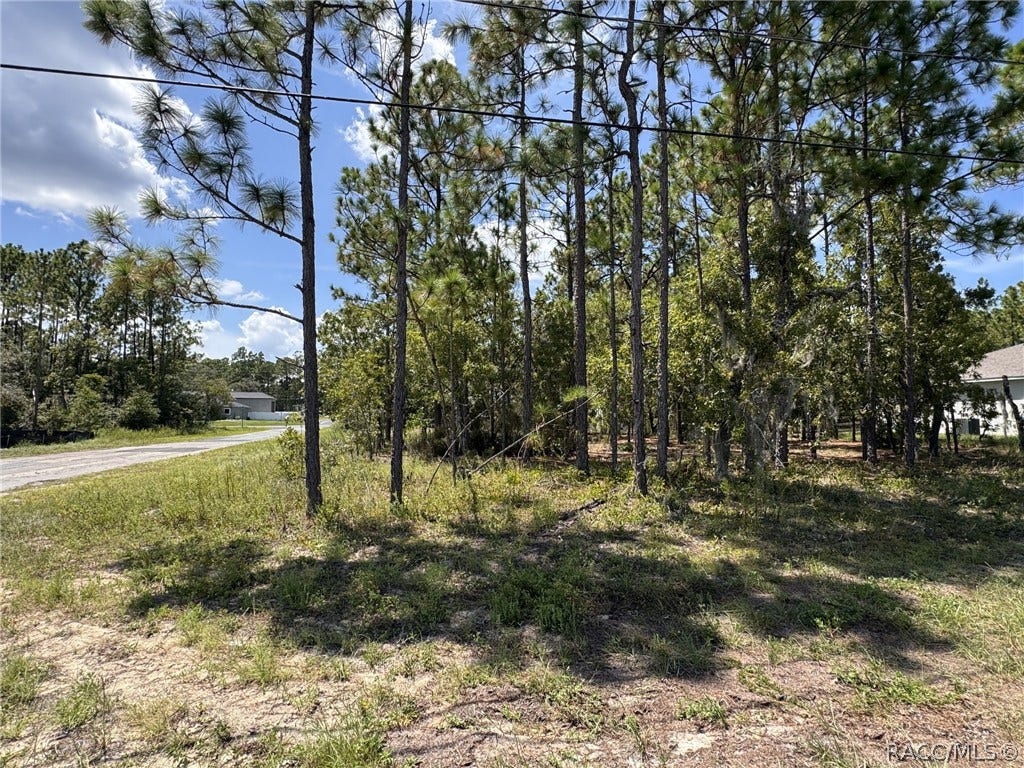 7722 N Galena Avenue, Citrus Springs, FL 34434 Wooded homesite with mature pines