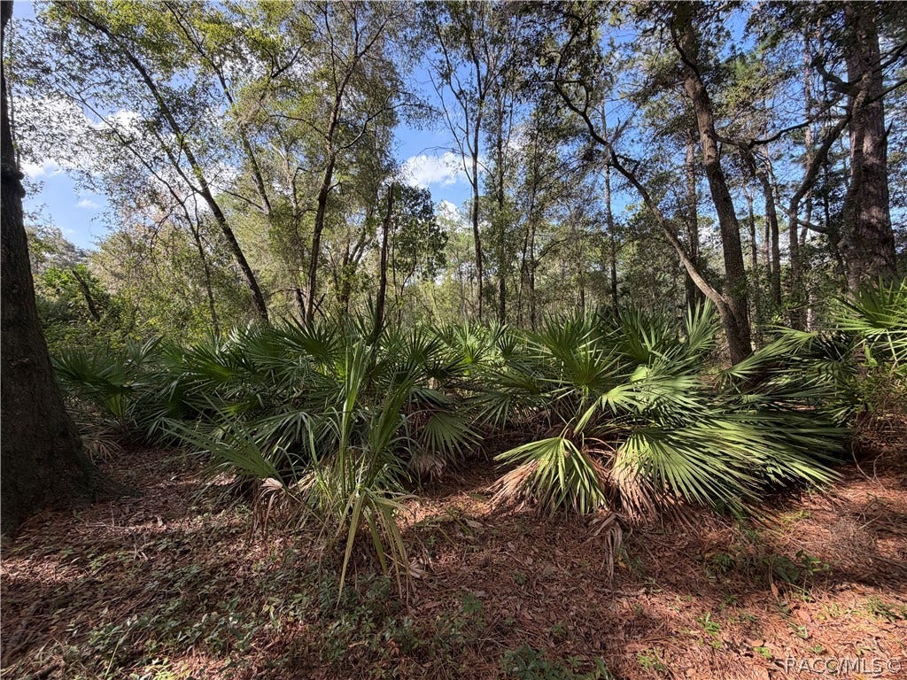 0 SW Shorewood Drive, Dunnellon, FL 34431 0 SW Shorewood Drive, Dunnellon, FL 34431
