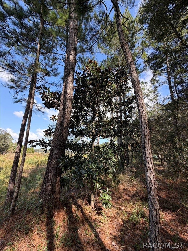 0 SW Shorewood Drive, Dunnellon, FL 34431 0 SW Shorewood Drive, Dunnellon, FL 34431
