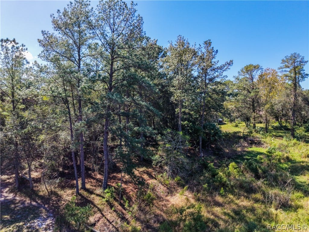 0 SW Shorewood Drive, Dunnellon, FL 34431 0 SW Shorewood Drive, Dunnellon, FL 34431