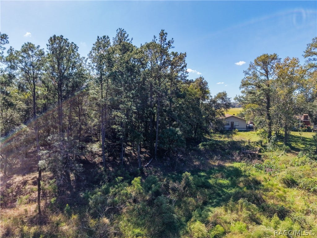 0 SW Shorewood Drive, Dunnellon, FL 34431 0 SW Shorewood Drive, Dunnellon, FL 34431