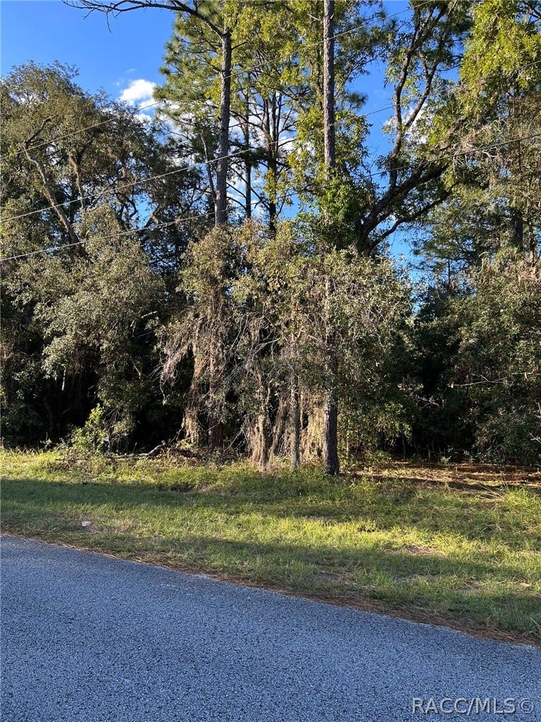 1721 W Pearson Street, Hernando, FL 34442 1721 W Pearson Street, Hernando, FL 34442
