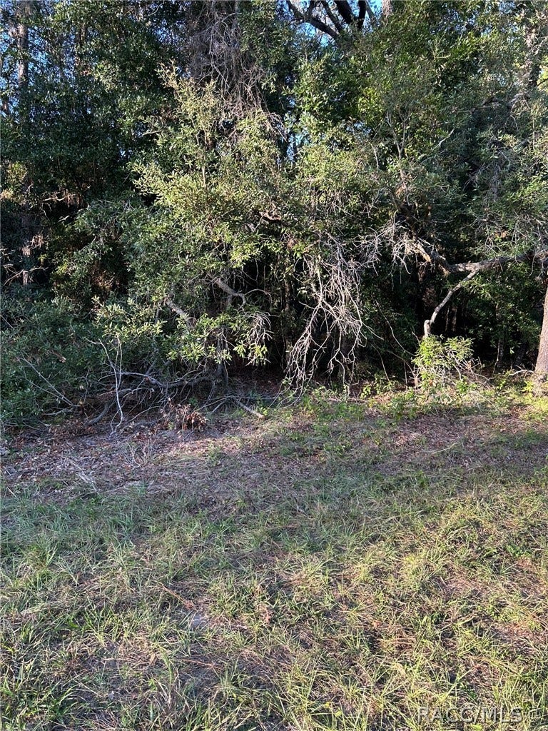 1721 W Pearson Street, Hernando, FL 34442 1721 W Pearson Street, Hernando, FL 34442
