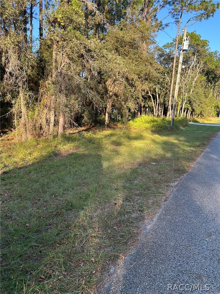 1721 W Pearson Street, Hernando, FL 34442 1721 W Pearson Street, Hernando, FL 34442