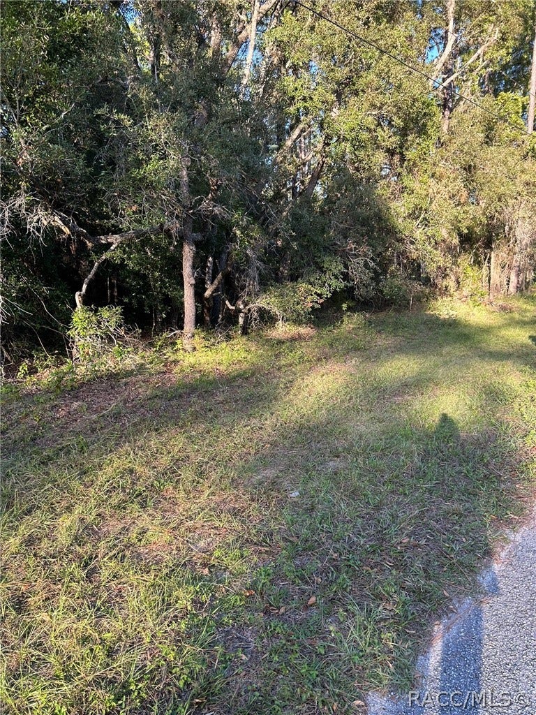 1721 W Pearson Street, Hernando, FL 34442 1721 W Pearson Street, Hernando, FL 34442