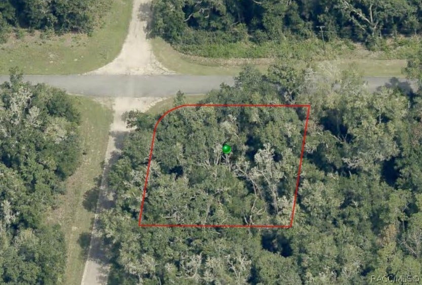 28 W Lynx Drive, Citrus Springs, FL 34434 28 W Lynx Drive, Citrus Springs, FL 34434