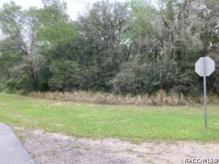 28 W Lynx Drive, Citrus Springs, FL 34434 28 W Lynx Drive, Citrus Springs, FL 34434