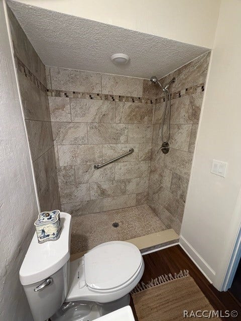 4737 S Sawmill Way, Homosassa, FL 34448 Bathroom: white vanity with a modern chrome faucet, a navy-and-white towel hanging over the vanity, a white toilet with a patterned container on the tank, a walk-in shower with stone-look tile walls, a mosaic accent strip, a grab bar and a pebble floor with a drain, recessed ceiling lights, and a 2-light fixture at the top left. This is the single-sink hall bath, not the primary bath.