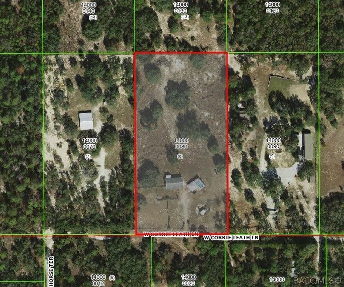 3409 W Corrie Leath Lane, Dunnellon, FL 34433 3409 W Corrie Leath Lane, Dunnellon, FL 34433