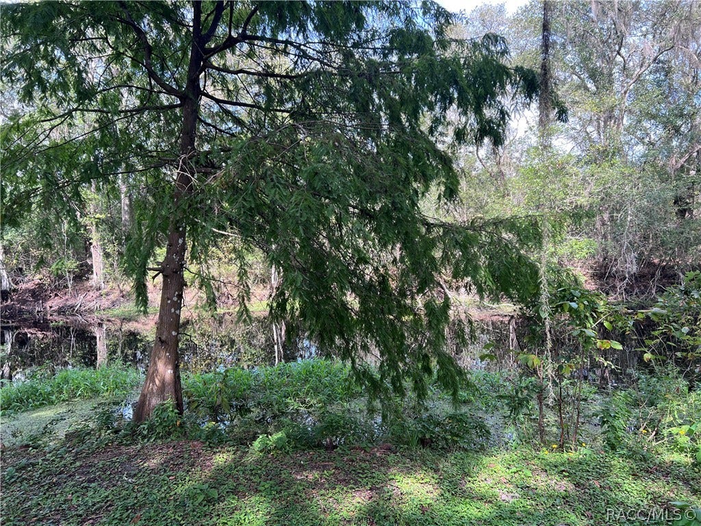 6725 S Whippoorwill Circle, Floral City, FL 34436 6725 S Whippoorwill Circle, Floral City, FL 34436