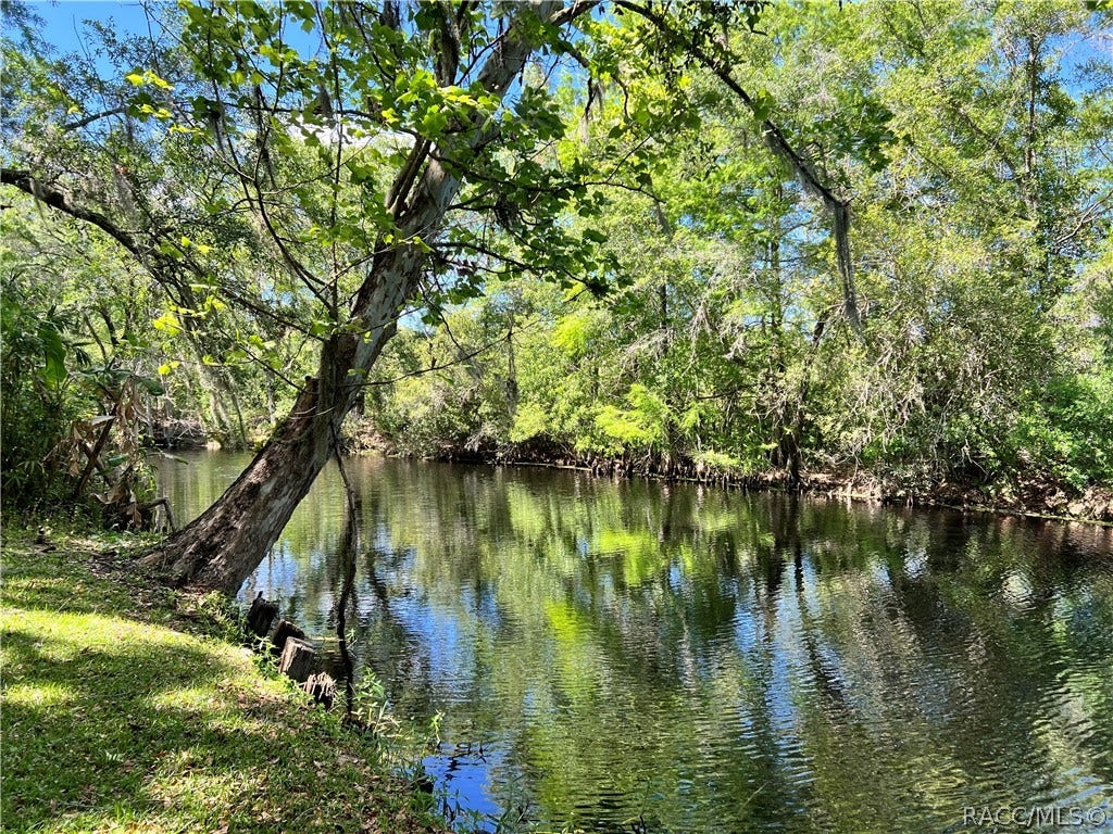 6725 S Whippoorwill Circle, Floral City, FL 34436 6725 S Whippoorwill Circle, Floral City, FL 34436