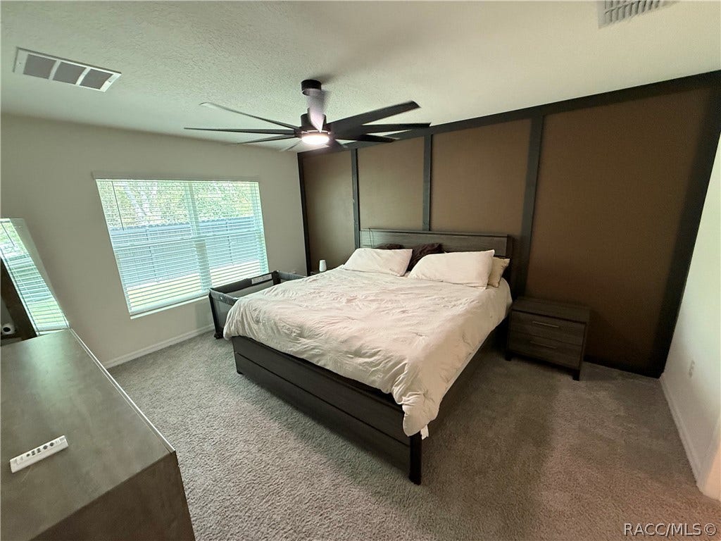 8767 N Paradisea Drive, Citrus Springs, FL 34433 8767 N Paradisea Drive, Citrus Springs, FL 34433