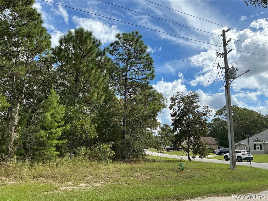 29 Oak Village Boulevard S, Homosassa, FL 34446 29 Oak Village Boulevard S, Homosassa, FL 34446