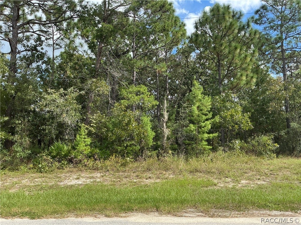 29 Oak Village Boulevard S, Homosassa, FL 34446 29 Oak Village Boulevard S, Homosassa, FL 34446