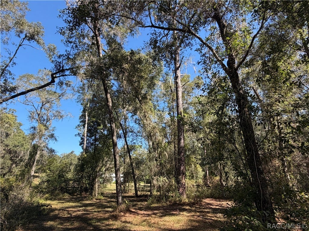 3065 E Grapeleaf Lane, Inverness, FL 34452