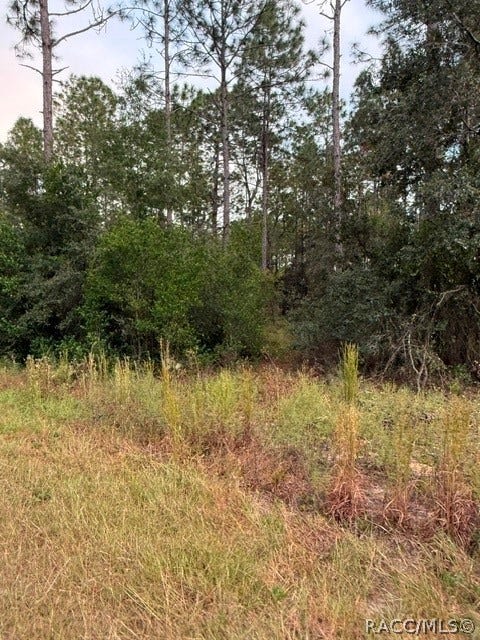 Dunnellon, FL 34431 Dunnellon, FL 34431