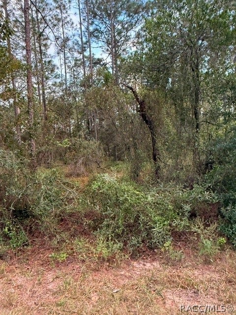 Dunnellon, FL 34431 Dunnellon, FL 34431