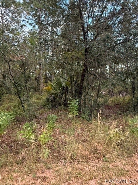 Dunnellon, FL 34431 Dunnellon, FL 34431