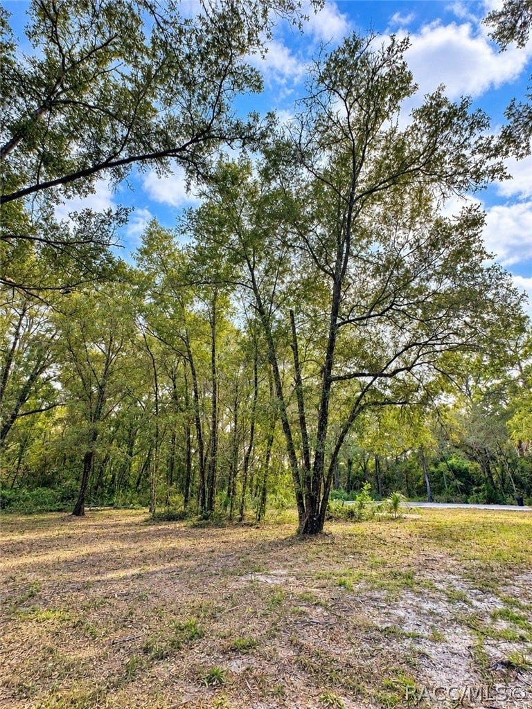 2590 N Donovan Avenue, Crystal River, FL 34428 2590 N Donovan Avenue, Crystal River, FL 34428