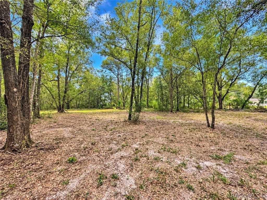 2590 N Donovan Avenue, Crystal River, FL 34428 2590 N Donovan Avenue, Crystal River, FL 34428