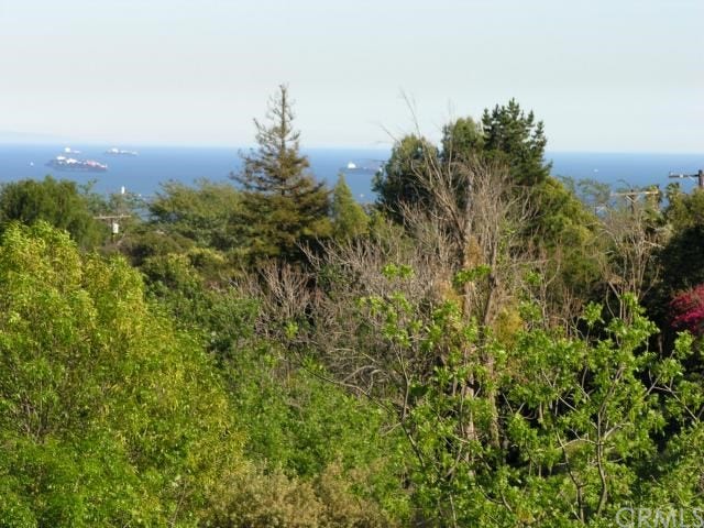 Property photo for 312 S Miraleste Drive, #99, San Pedro, CA