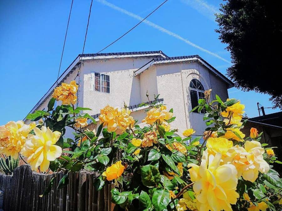 Property photo for 230 W 15th Street, San Pedro, CA