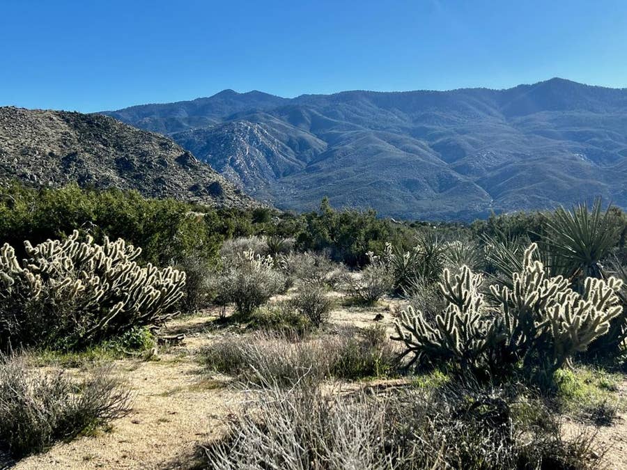 Property photo for 0 Apn# 635 393 007, Mountain Center, CA