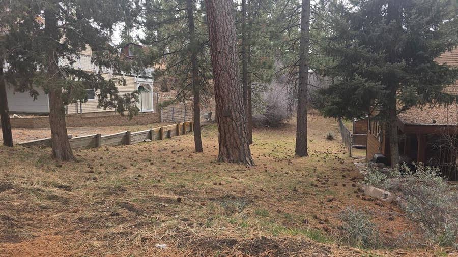Property photo for 0 Conifer, Big Bear, CA