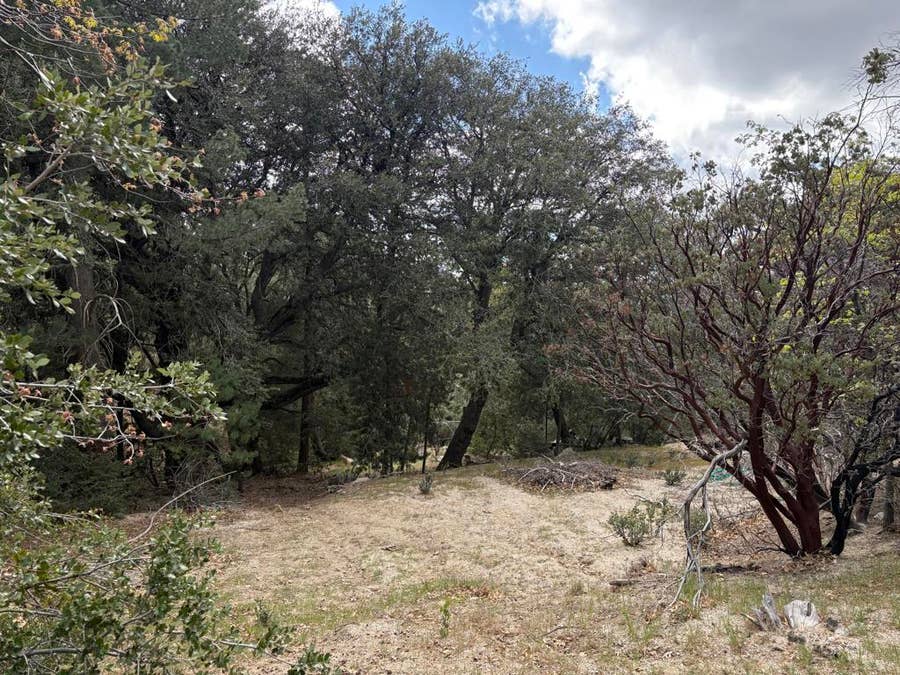 Property photo for 0 Schaffer Drive, Pine Cove, CA