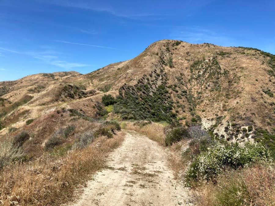 Property photo for 7003 Loma Verde Mountainway, Castaic, CA