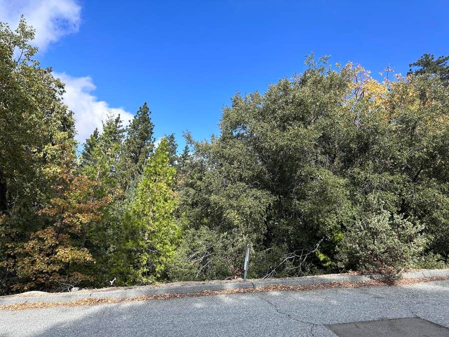 Property photo for Idyllwild, CA