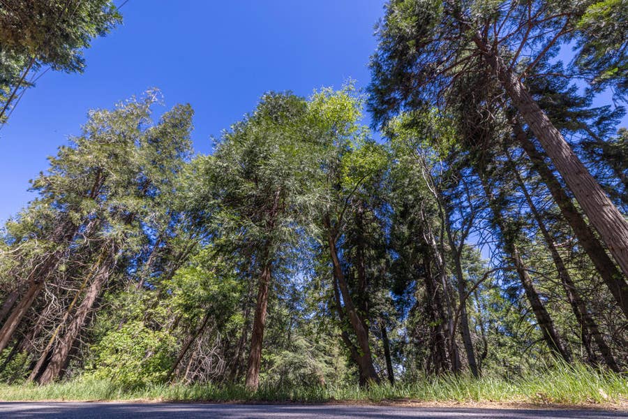 Property photo for Cedar Pines Drive, Crestline, CA