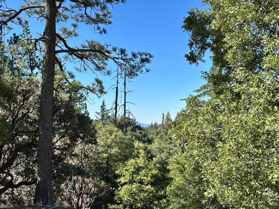 Property photo for 0 Mountain View Drive, Idyllwild, CA