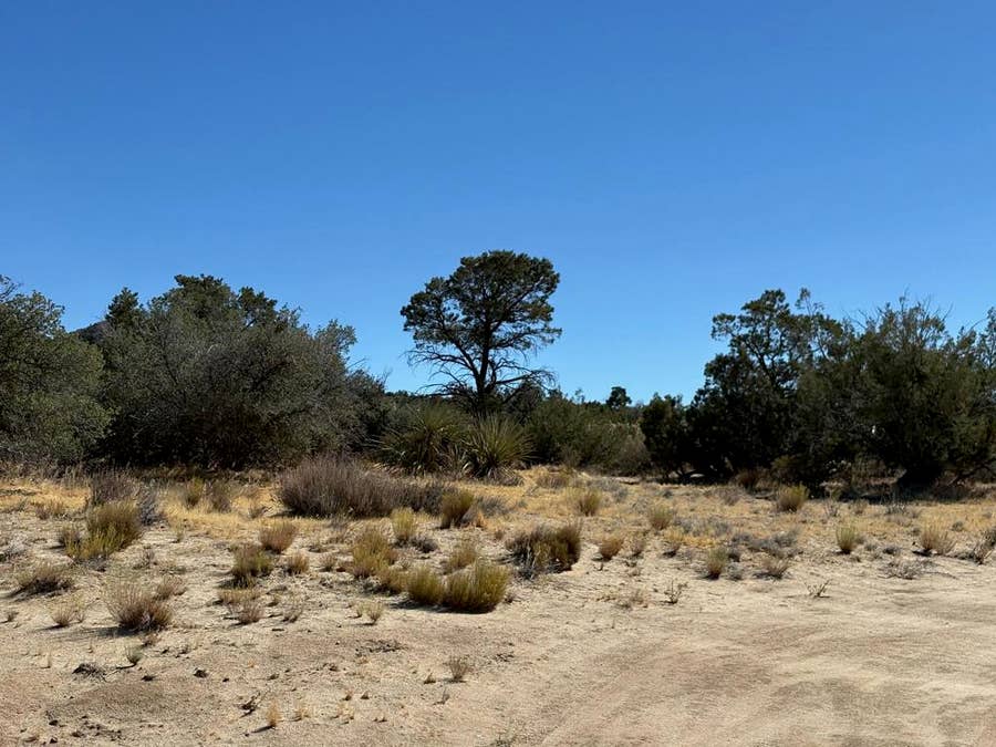 Property photo for 0 Materhorn, Mountain Center, CA