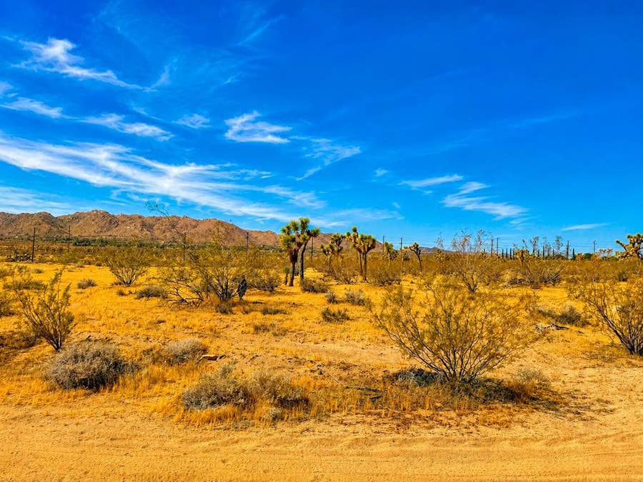 Property photo for 0 Rockwood Road, Joshua Tree, CA