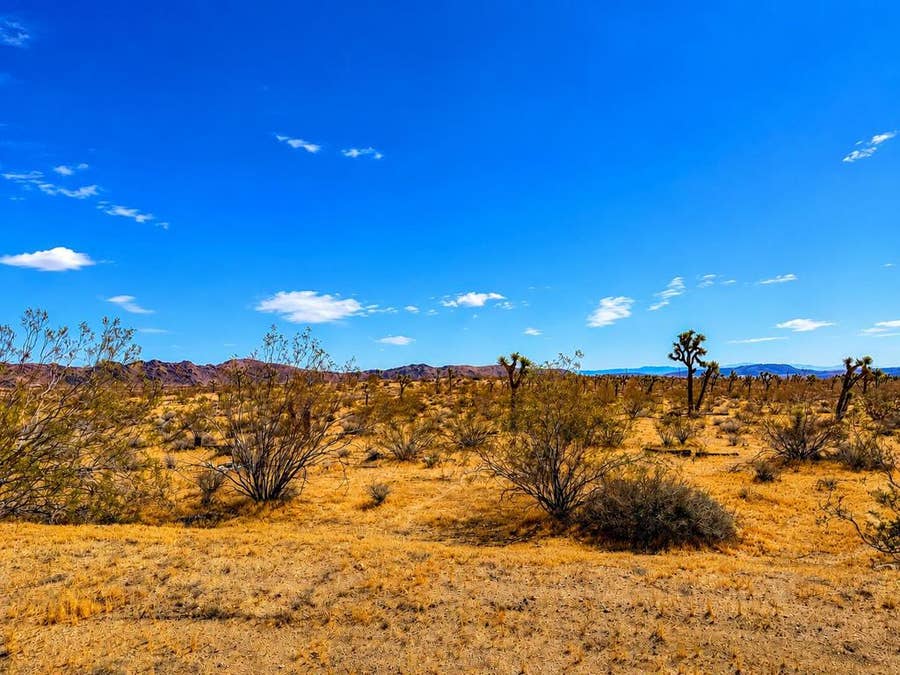 Property photo for 0 Rockwood Road, Joshua Tree, CA