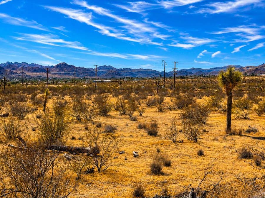 Property photo for 0 Rockwood Road, Joshua Tree, CA