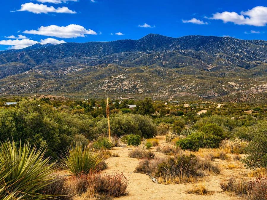 Property photo for 214 Chalet Drive, Mountain Center, CA